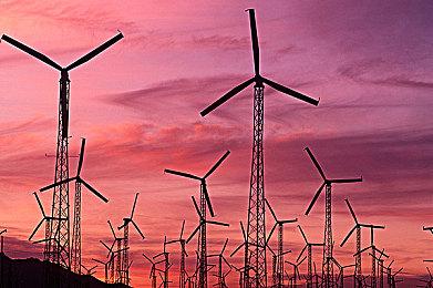 《潜行者2》被ESRB评成M级 暴力、血腥、脏话